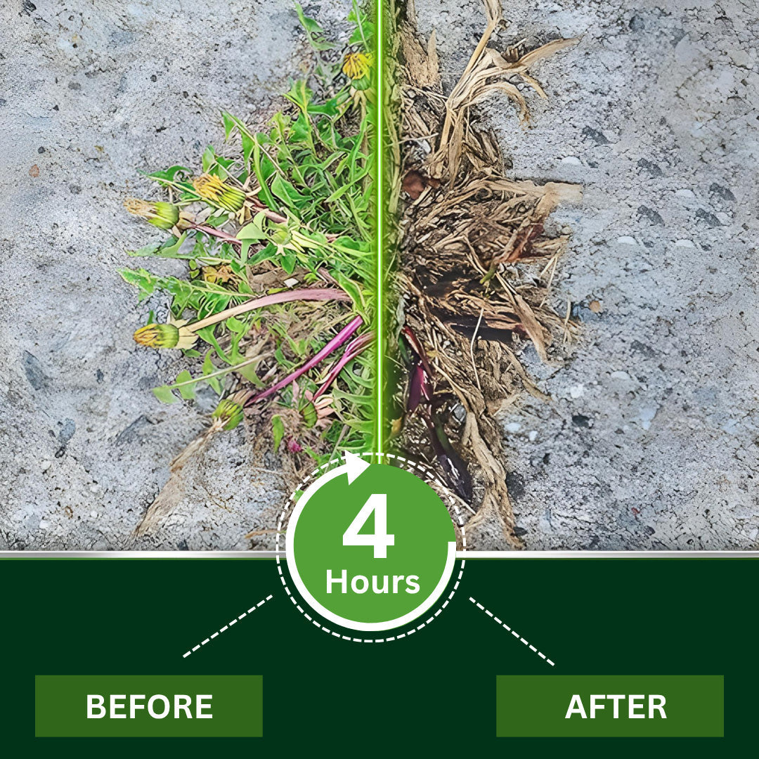 🌿Slonkaz™ 2-in-1 Weed Killer | Same-Day Results & Kills Roundup-Resistant Weeds